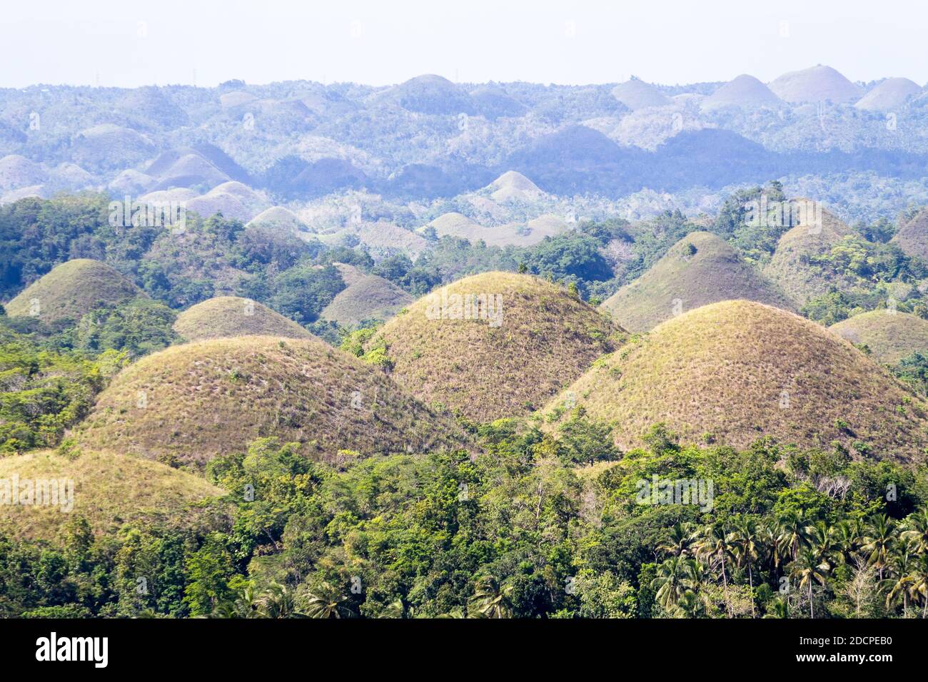 Les collines de chocolat de Bohol aux Philippines Banque D'Images
