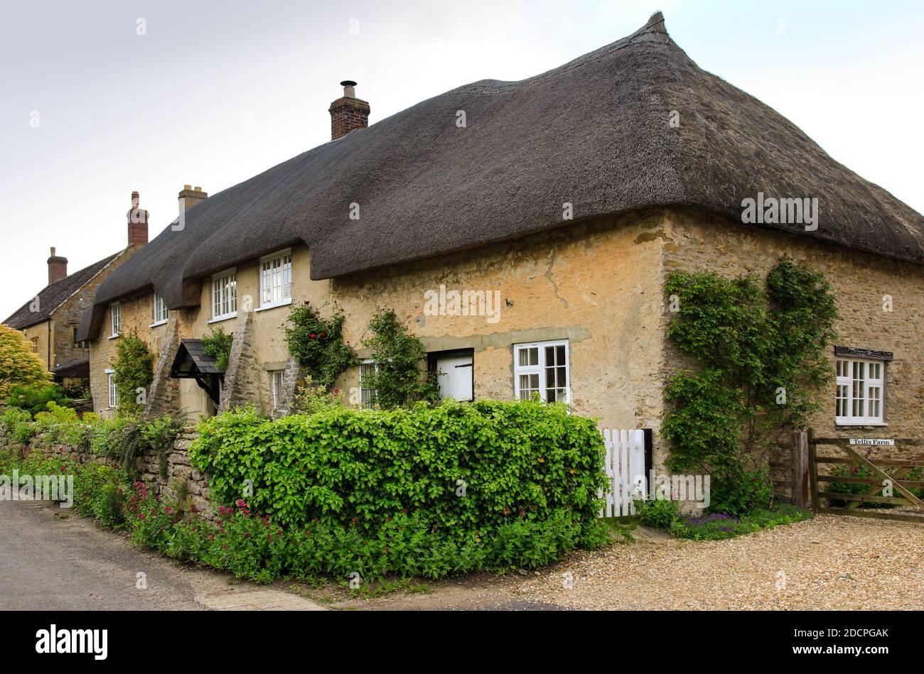 Tellis Farm, un cottage sur toit de chaume d'importance historique, magnifique, à East Coker, Somerset, Angleterre, Royaume-Uni Banque D'Images