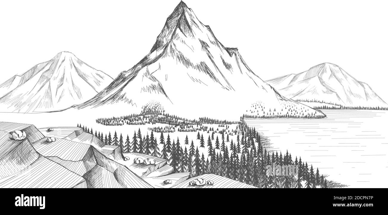 Montagne lac forêt pin arbres illustration du vecteur de roche. Illustration du vecteur de la plage de montagne. Illustration Lake Vector Illustration de Vecteur