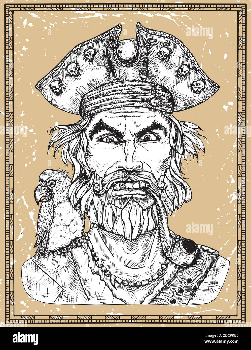 Portrait du capitaine pirate en colère avec barbe et perroquet sur fond de texture. Illustration vectorielle gravée à la main du marin, du marin ou du marin Illustration de Vecteur
