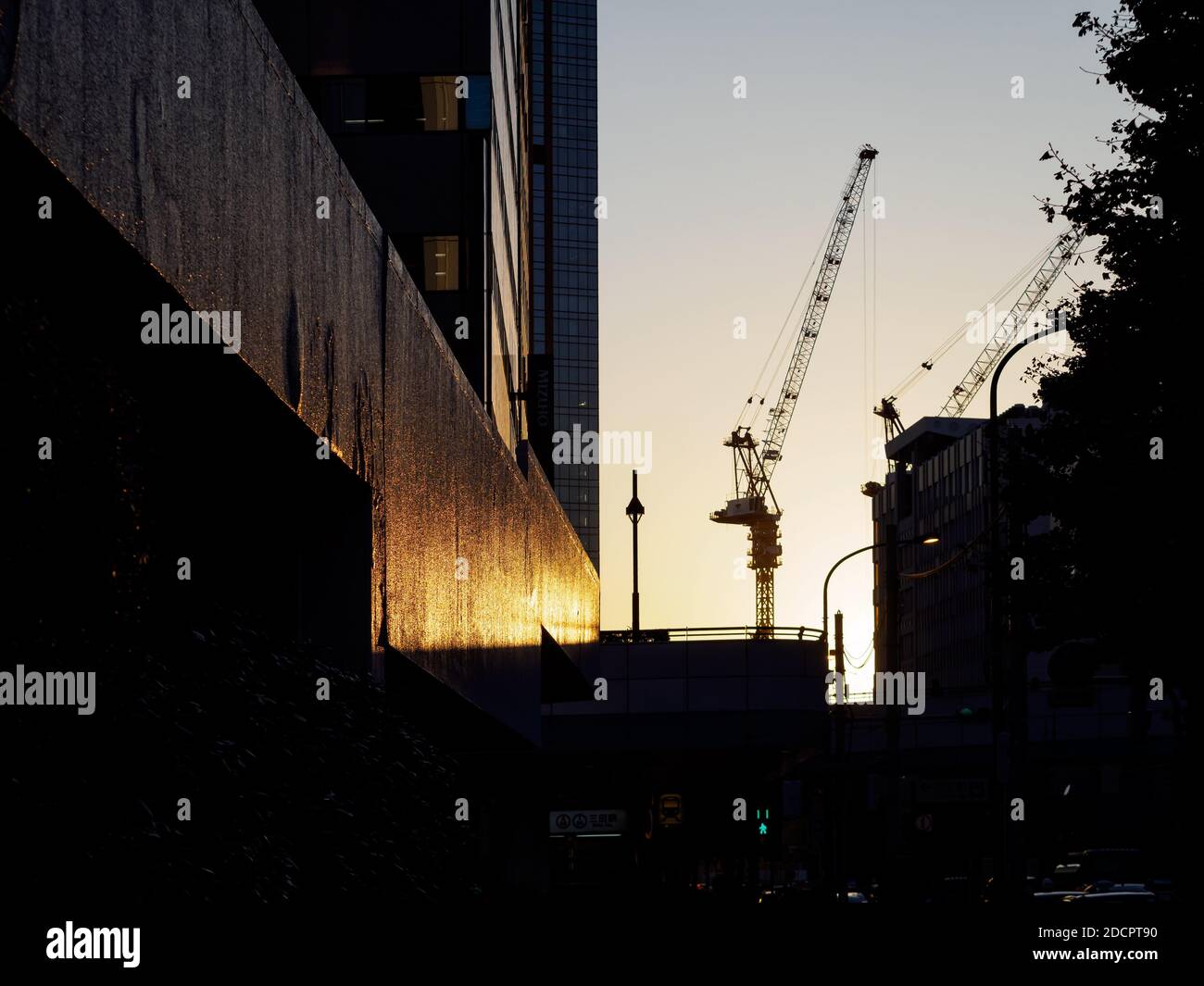 Grues de construction dans la soirée à Tokyo, Japon. Banque D'Images