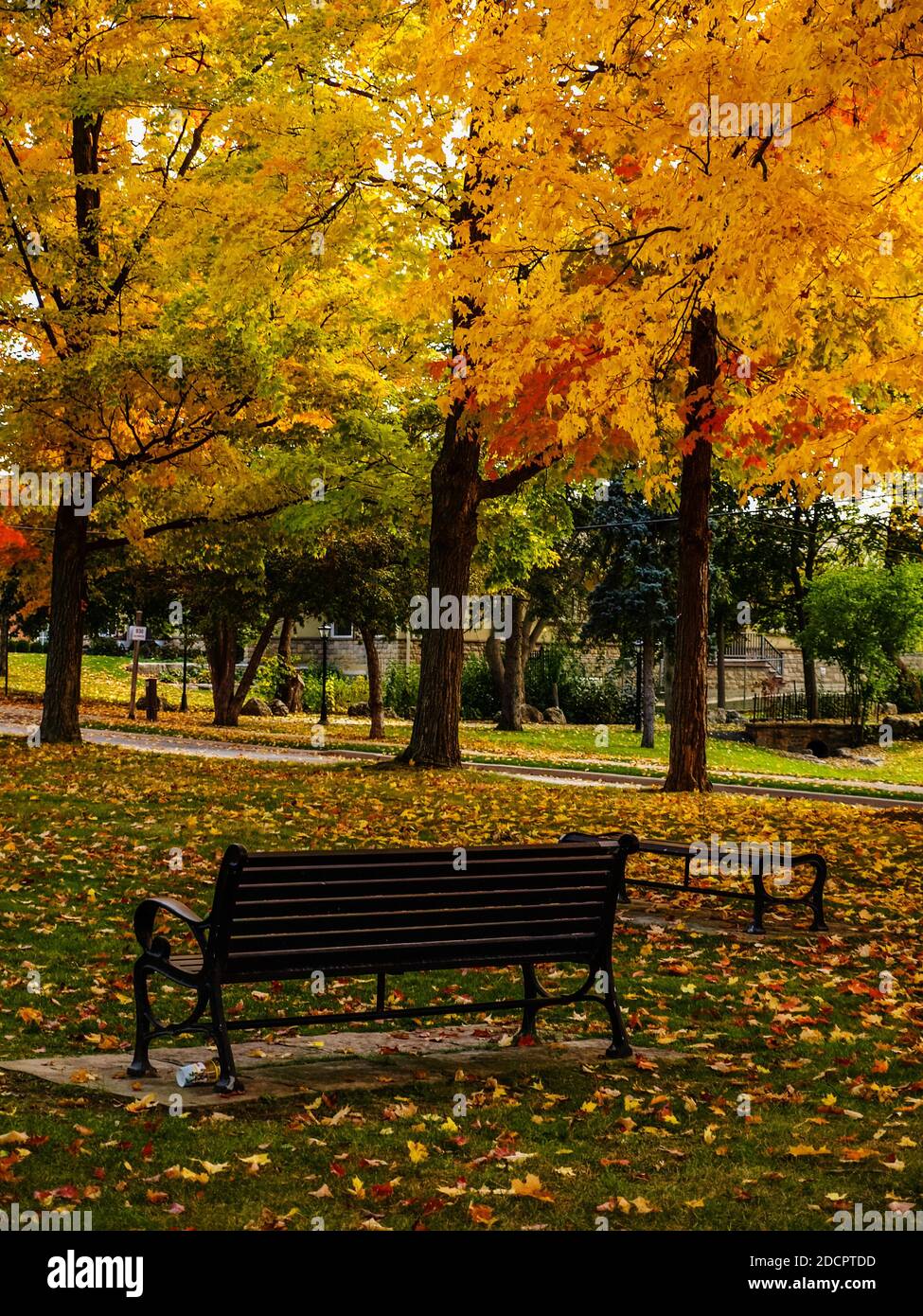 Regarder les couleurs de l'automne depuis le confort d'un banc de parc, ON, Canada. L'automne en Ontario est la période la plus belle de l'année. Banque D'Images
