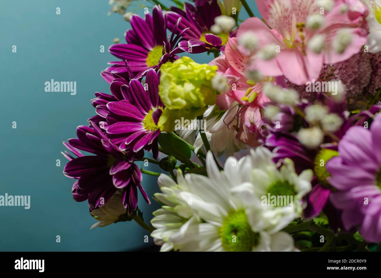 Floristics, bouquet de mariage. Fleurs en gros plan colorées sur fond turquoise. Banque D'Images
