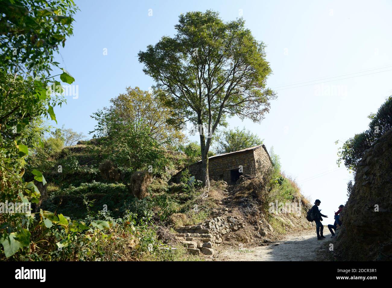 La vie dans l'Himachal Pradesh Banque D'Images