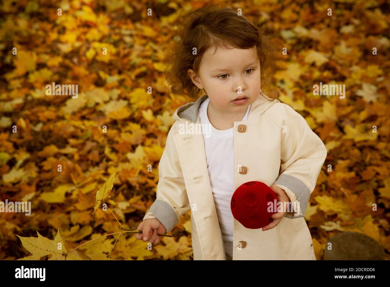 Jolie petite fille dans un manteau beige en automne stationnement Banque D'Images