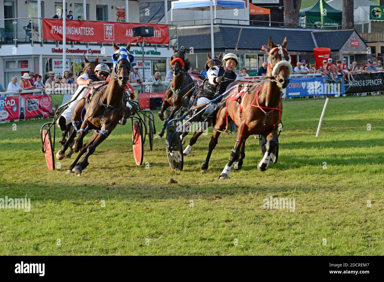 Les jockeys et les chevaux en compétition dans les courses de trot au faisceau du Royal Welsh Show 2019, Builth Wells Banque D'Images