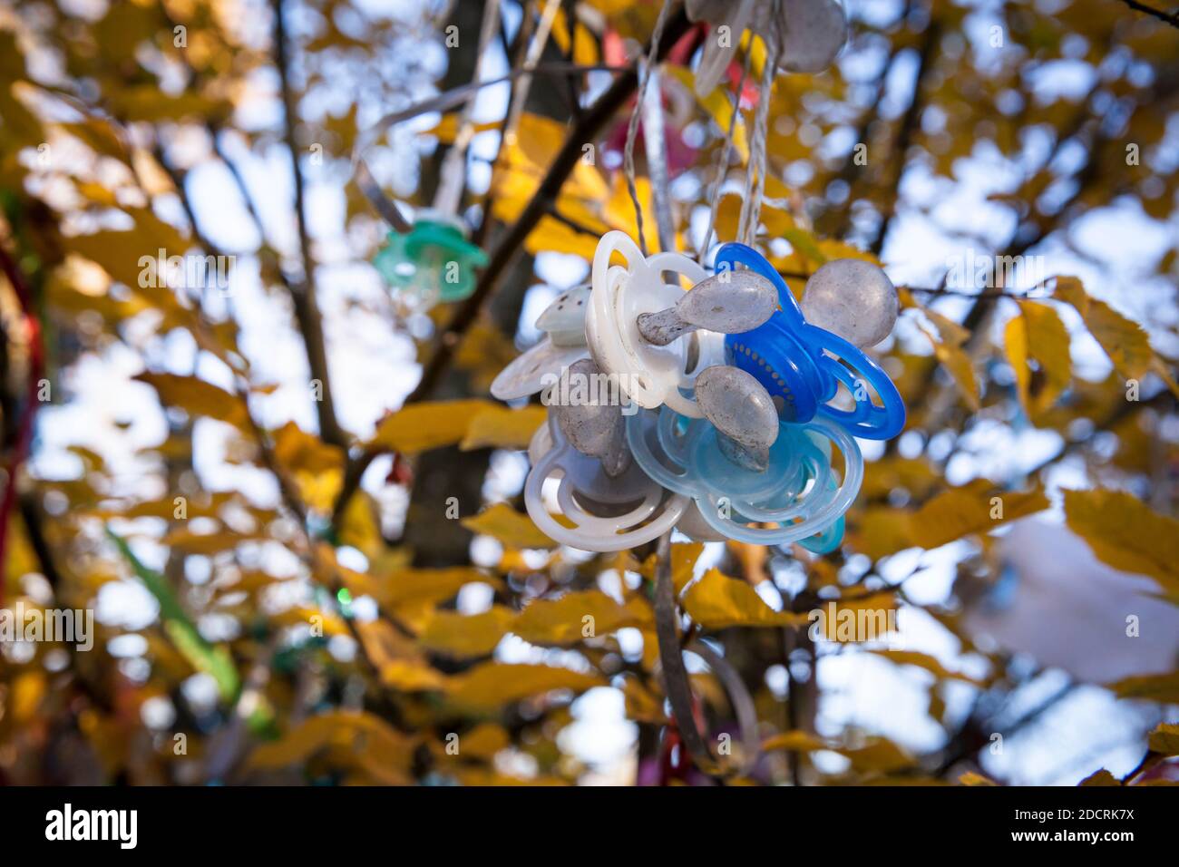 Arbre de sucette, pour le sevrage précoce de la sucette les enfants peuvent  accrocher leurs suces dans l'arbre et l'espoir d'un cadeau de la sucette  fée, Witten, North R Photo Stock -