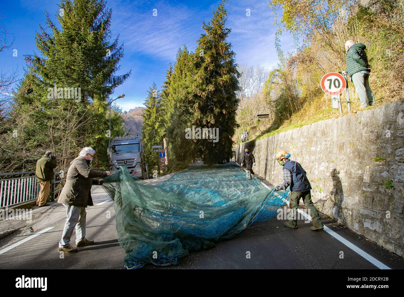 Val Seriana, Italie. 23 novembre 2020. Un sapin « dissident » de 15 mètres à Gorno en Val Seriana sera donné à Bergame pour Noël. Baptisé 'Natalino' (par les enfants de l'école élémentaire de Gorno,) l'arbre aurait dû être coupé pour des raisons de sécurité; au lieu de cela, il sera coupé et transporté à la ville pour devenir le symbole de la fête. Un geste symbolique et un don qui souligne la proximité entre la capitale la plus tourmentée et le martyr de la vallée de l'épidémie en mars; un message d'espoir et de force pour sortir d'une situation qui a profondément marqué ce territoire. Crédit : IND Banque D'Images