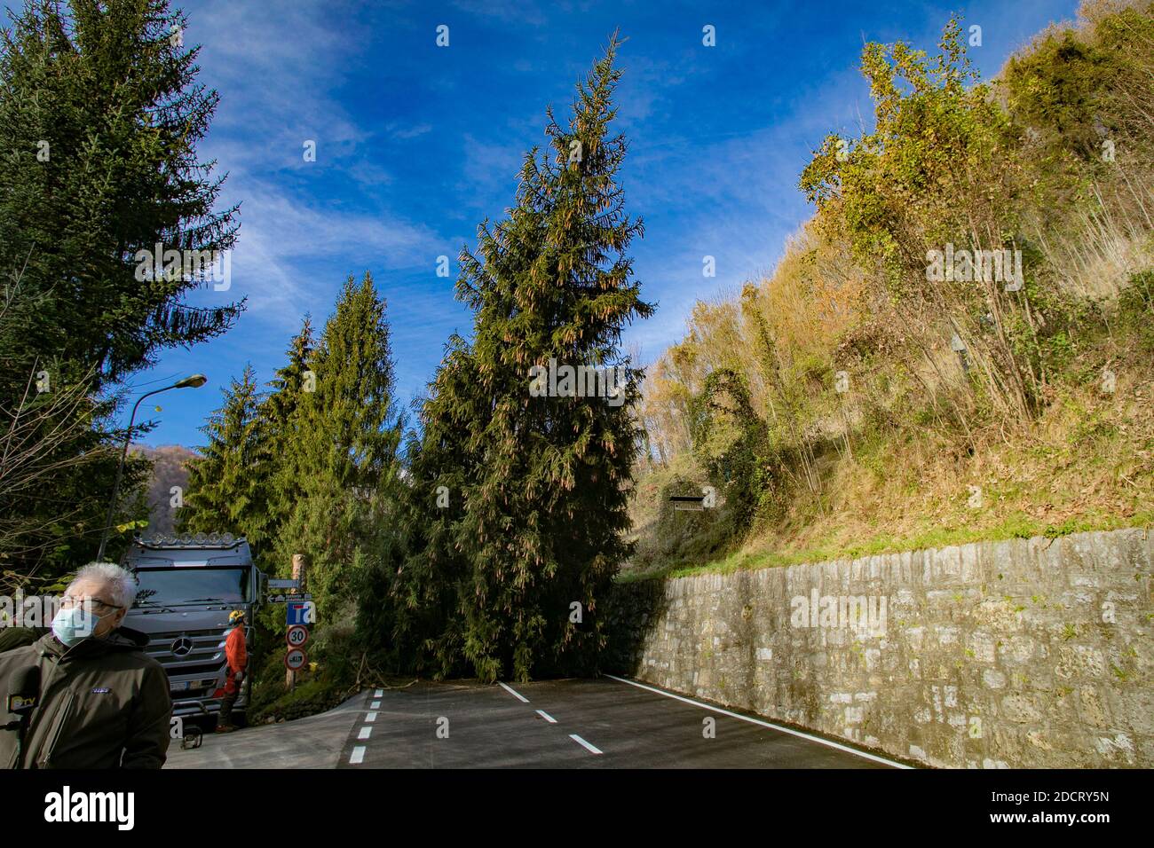 Val Seriana, Italie. 23 novembre 2020. Un sapin « dissident » de 15 mètres à Gorno en Val Seriana sera donné à Bergame pour Noël. Baptisé 'Natalino' (par les enfants de l'école élémentaire de Gorno,) l'arbre aurait dû être coupé pour des raisons de sécurité; au lieu de cela, il sera coupé et transporté à la ville pour devenir le symbole de la fête. Un geste symbolique et un don qui souligne la proximité entre la capitale la plus tourmentée et le martyr de la vallée de l'épidémie en mars; un message d'espoir et de force pour sortir d'une situation qui a profondément marqué ce territoire. Crédit : IND Banque D'Images