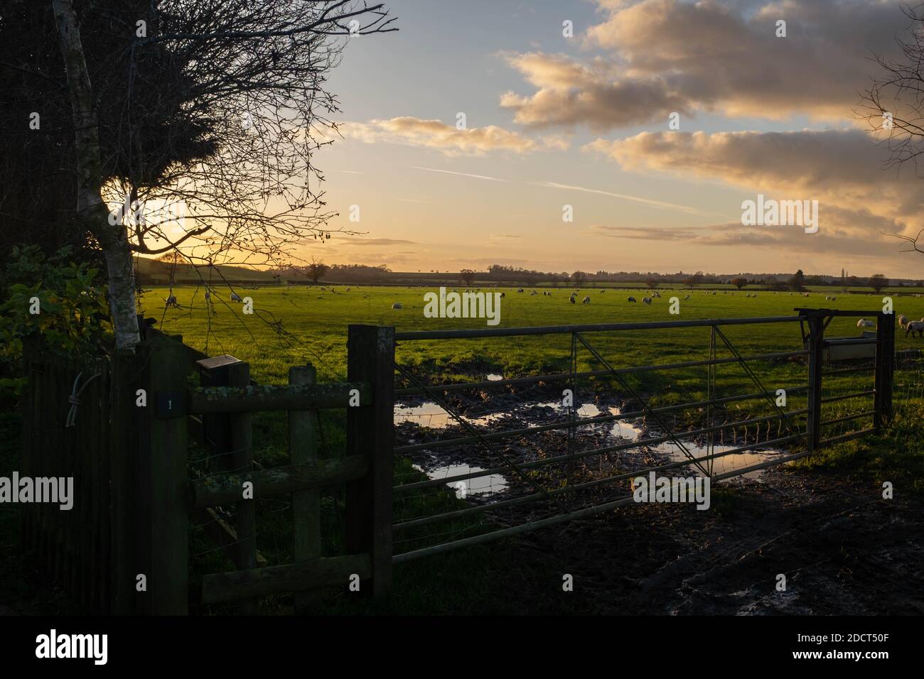 Campagne du Warwickshire, lumière d'automne Banque D'Images
