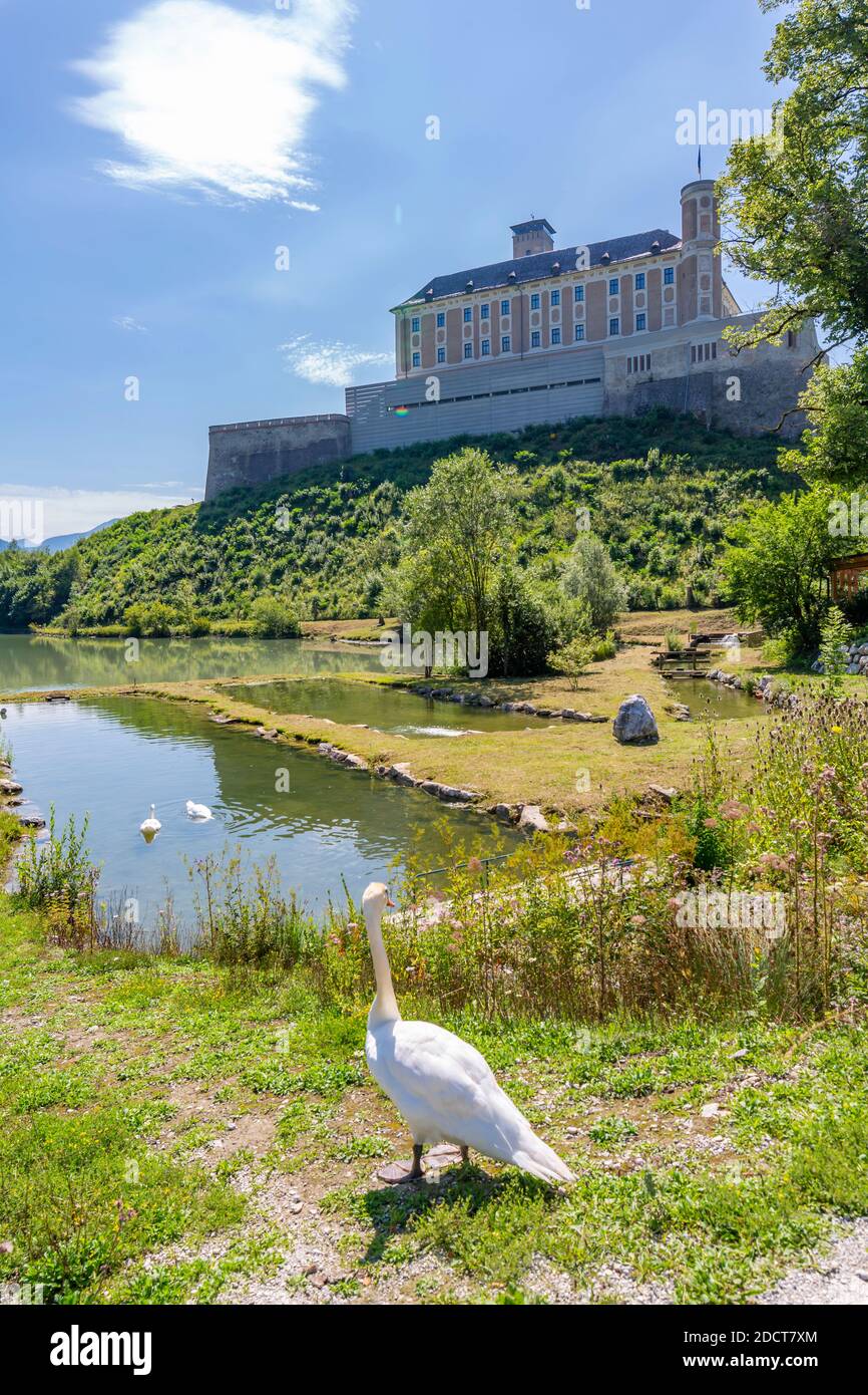 Vue sur le château de Trautenfels et les cygnes sur Schlosseich Fischstüberl, étang de pêche, Styrie, Autriche, Europe Banque D'Images