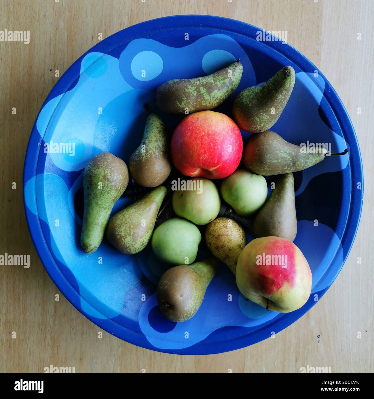 Pommes et poires fraîches dans un bol de fruits bleu Banque D'Images