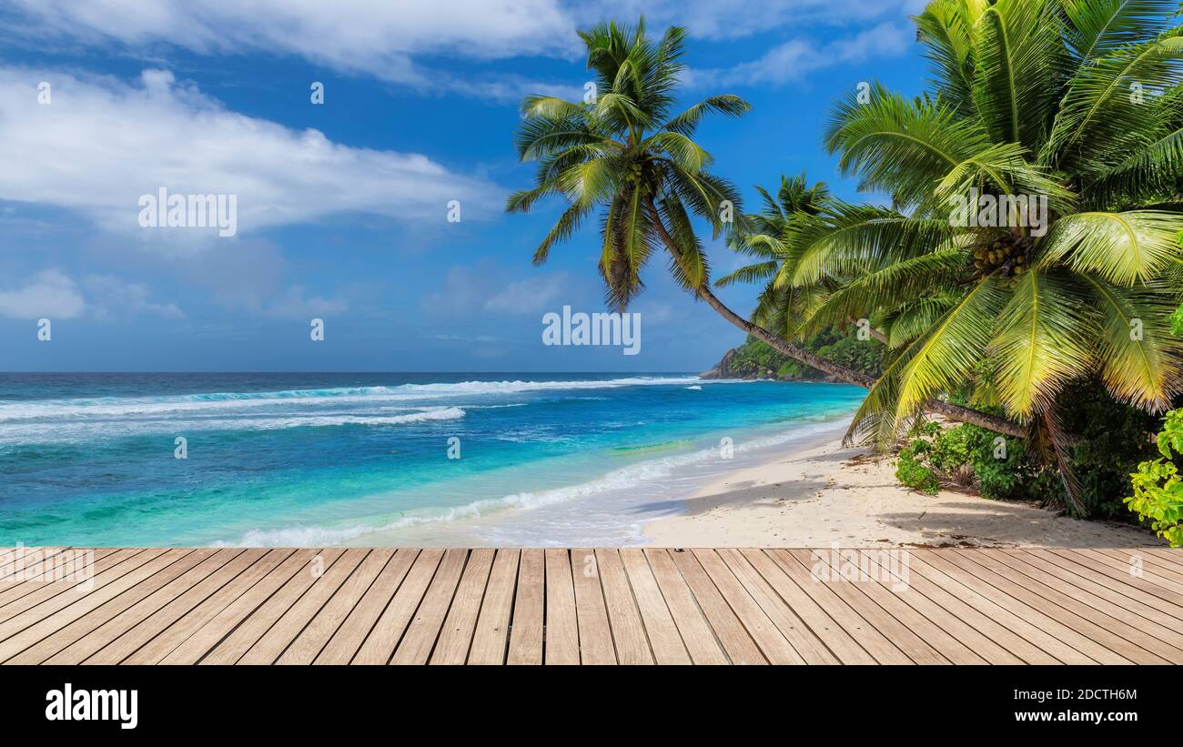Plage ensoleillée avec parquet, palmiers et mer turquoise sur Paradise Island. Banque D'Images