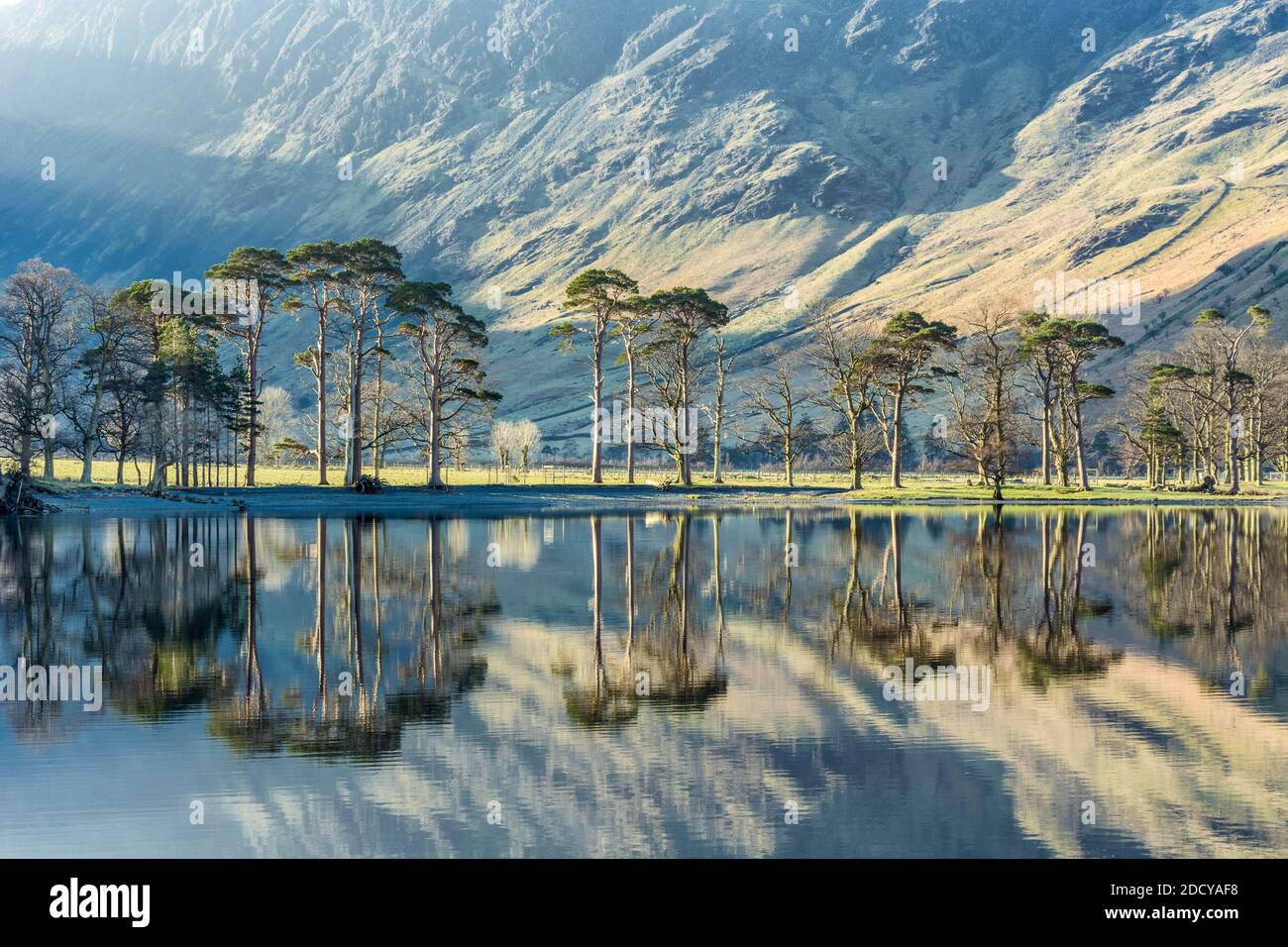 Belle lumière qui brille sur les arbres à Buttermere dans le district du lac lors d'un matin de printemps calme. Banque D'Images