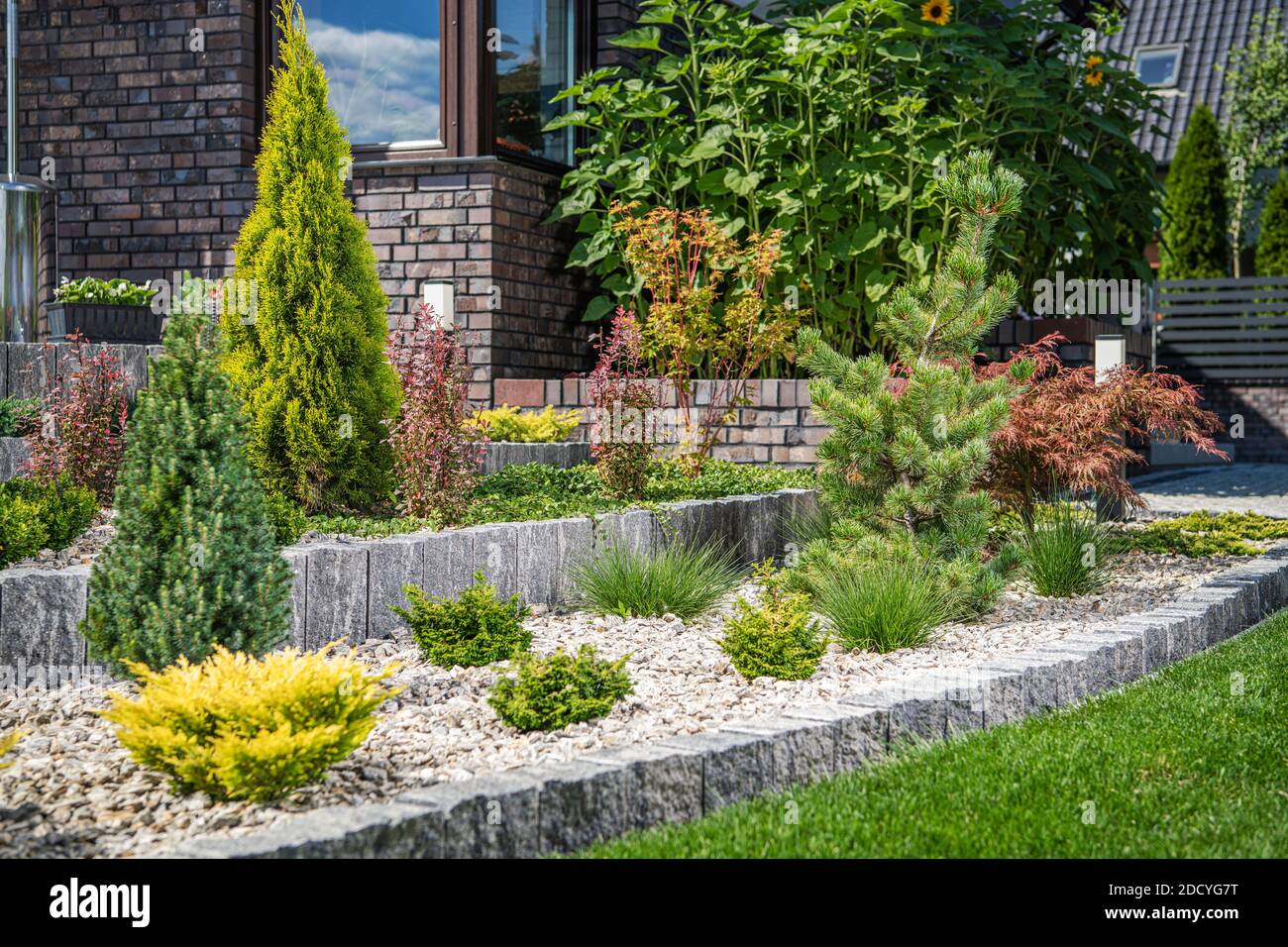 Jardin de Rockery de la petite cour avec de petites plantes. Thème Jardinage résidentiel. Banque D'Images