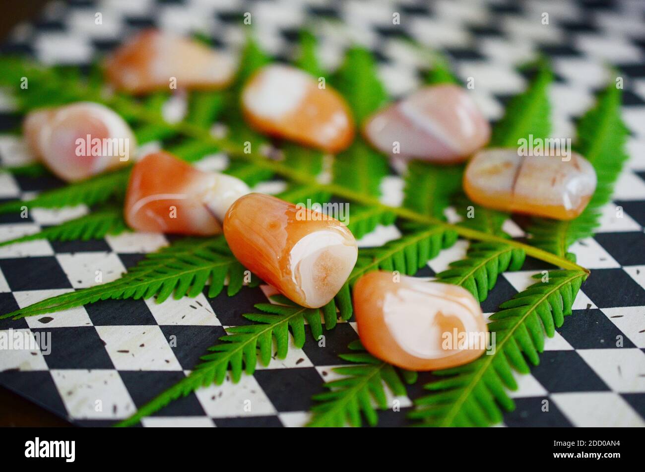 Carnélien en tuméle. Pierres de Carnélian de qualité supérieure. Cristal de guérison puissant reiki. Carnélian à bandes de qualité supérieure. Couleurs luxuriantes, naturelles Banque D'Images