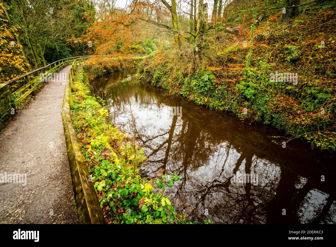 Chemin le long du canal de la branche de Springs à Skipton, North Yorkshire UK Banque D'Images