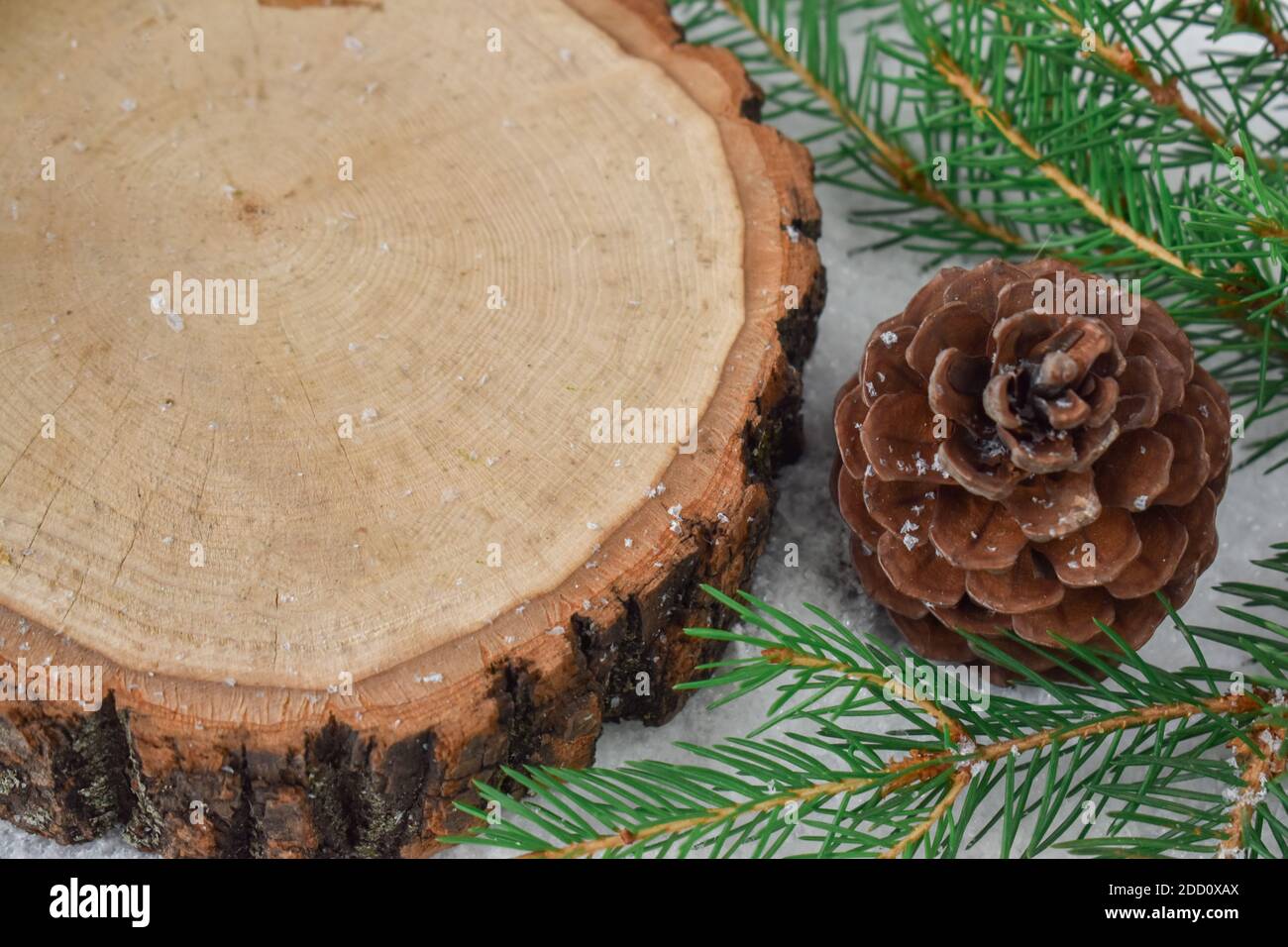 Gros plan d'une section en bois avec une copie du espace près des branches d'épinette dans la neige Banque D'Images