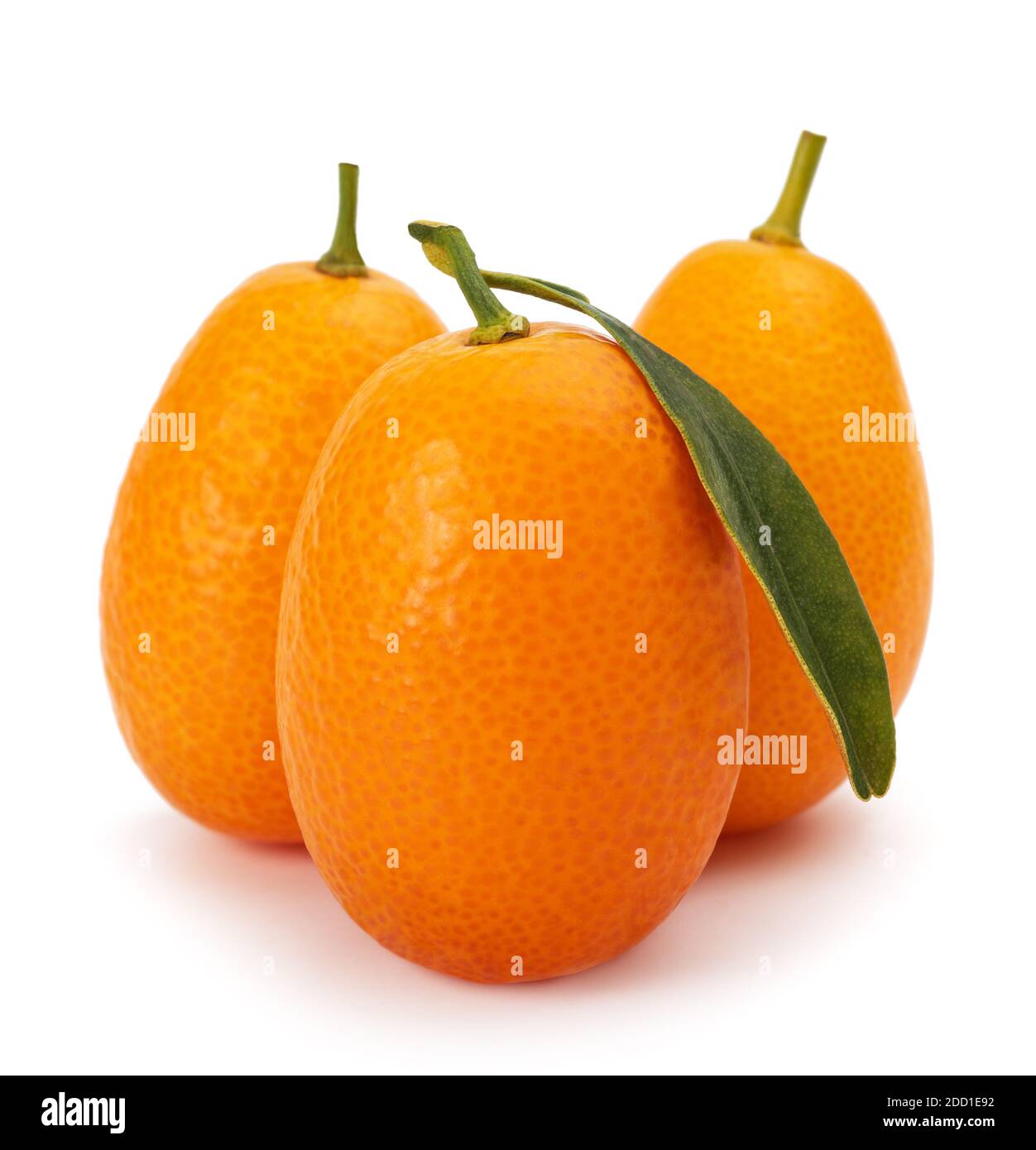 fruits mûrs de kumquat isolés sur fond blanc Banque D'Images