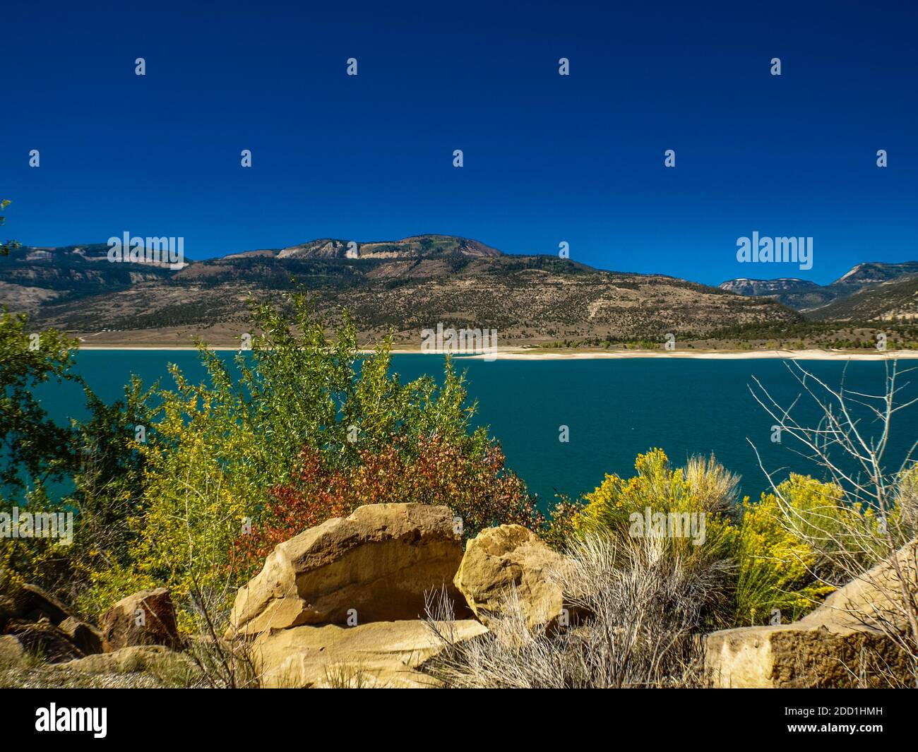 Rochers, cactus et fougères du réservoir de Joe's Valley, Utah, États-Unis Banque D'Images