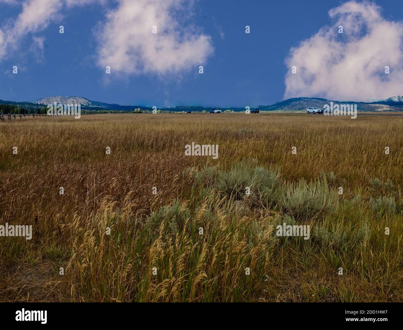 Prairies du parc national de Grand Teton, Wyoming Banque D'Images