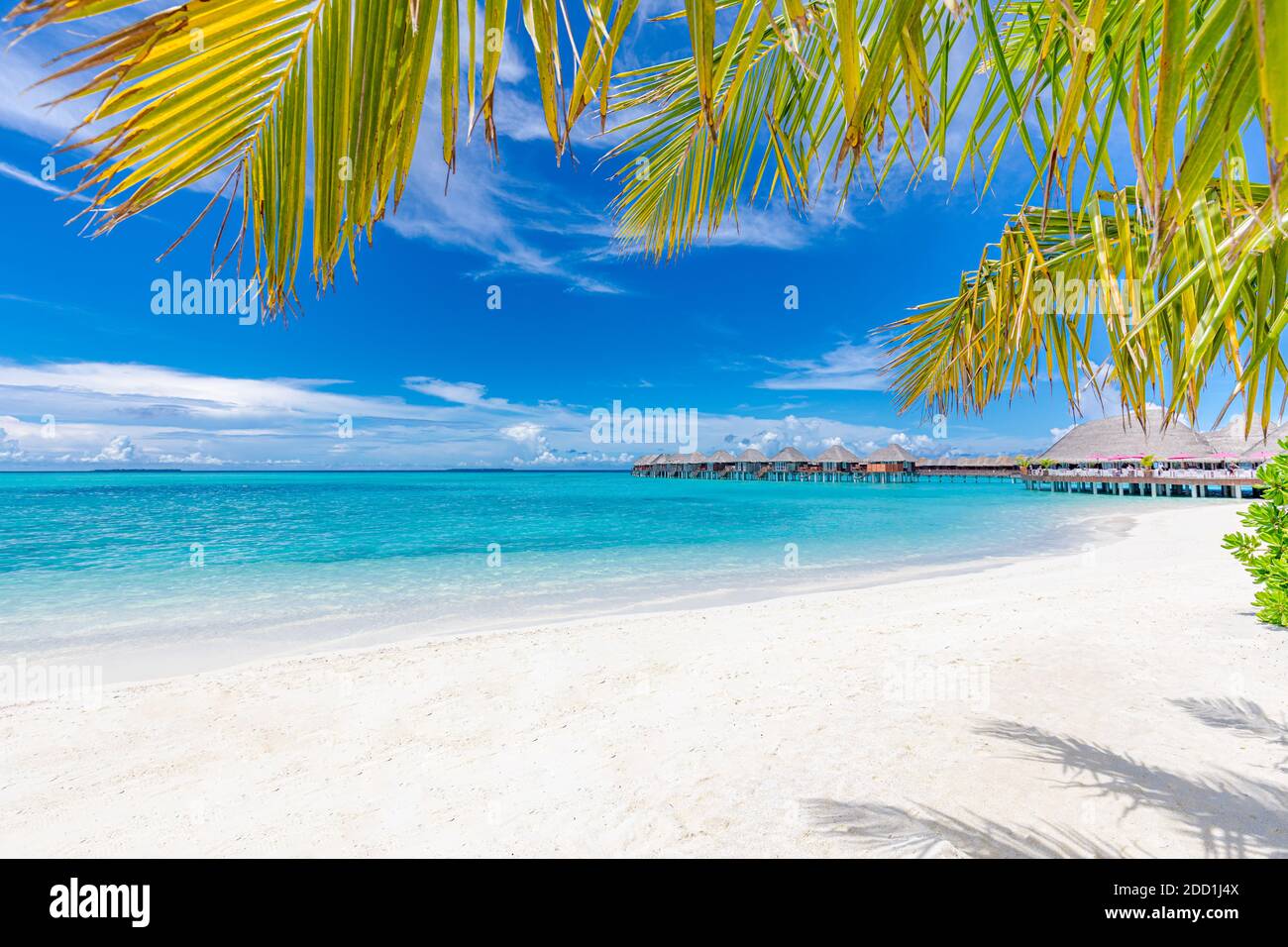 Belle plage et mer tropicale. Magnifique nature de plage, paysages des Maldives, vue parfaite sur le paysage exotique, sable blanc et ciel bleu. Complexe de luxe Banque D'Images