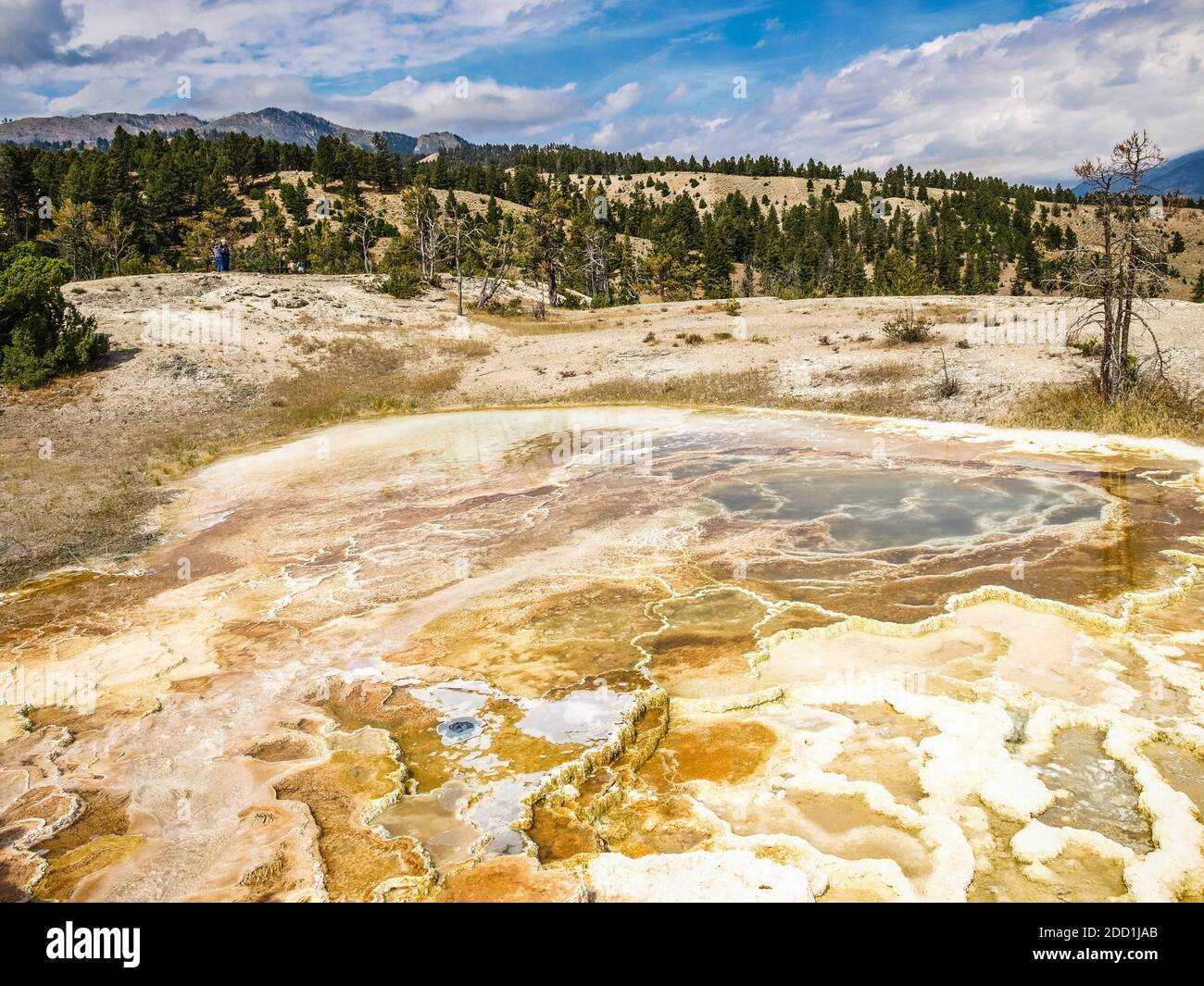 Sources de soufre chaudes, eau et chaleur provenant de l'activité volcanique, sources thermales de Mammoth, parc national de Yellowstone, Mo, États-Unis Banque D'Images