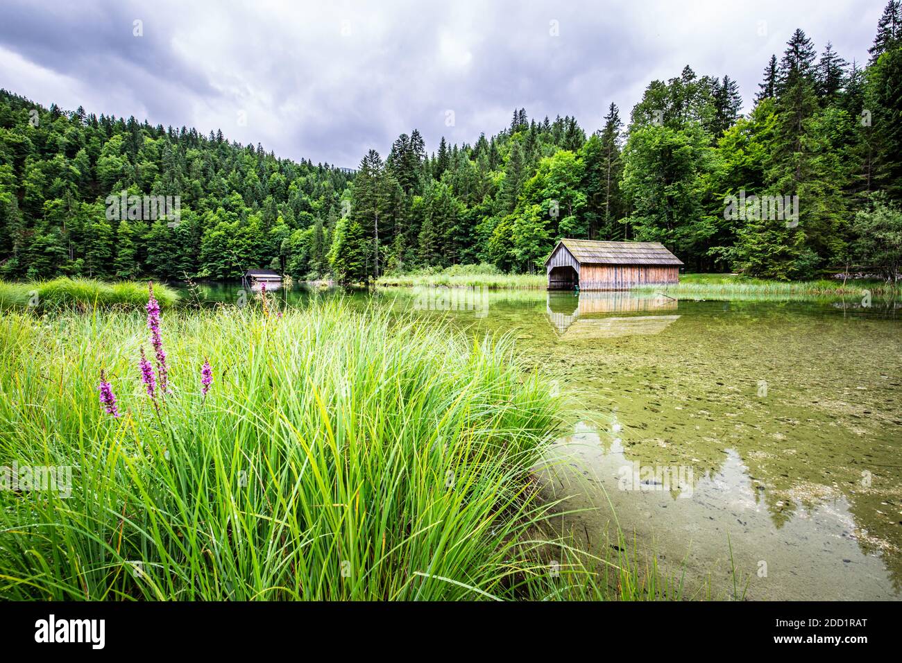 Paysage d'été idyllique avec lac de montagne clair dans les Alpes, scène nuageux. Reflet d'eau calme, nature tranquille. Paysage de lac alpin Banque D'Images