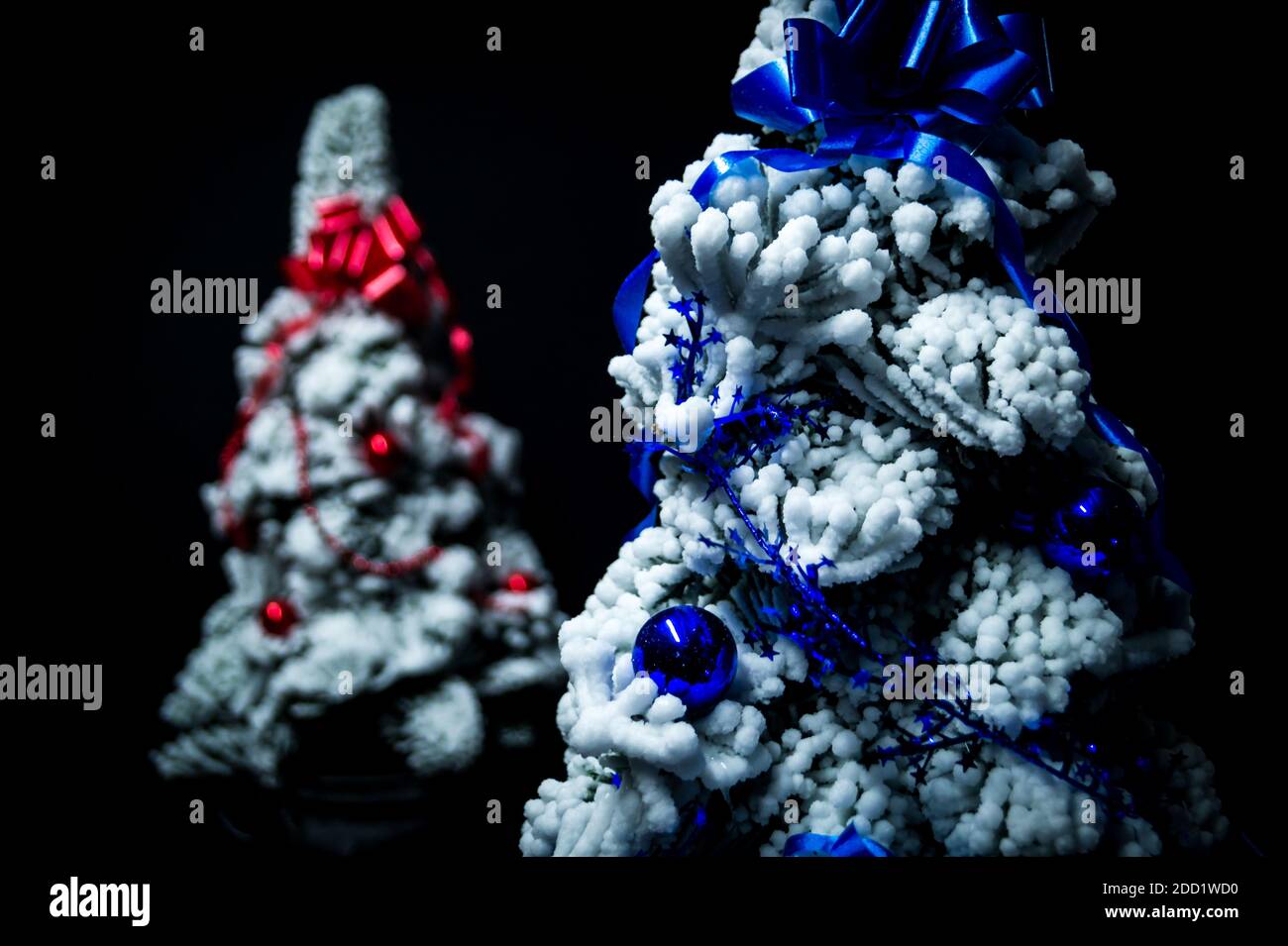 Arbres de Noël enneigés décorés isolés sur fond noir Banque D'Images