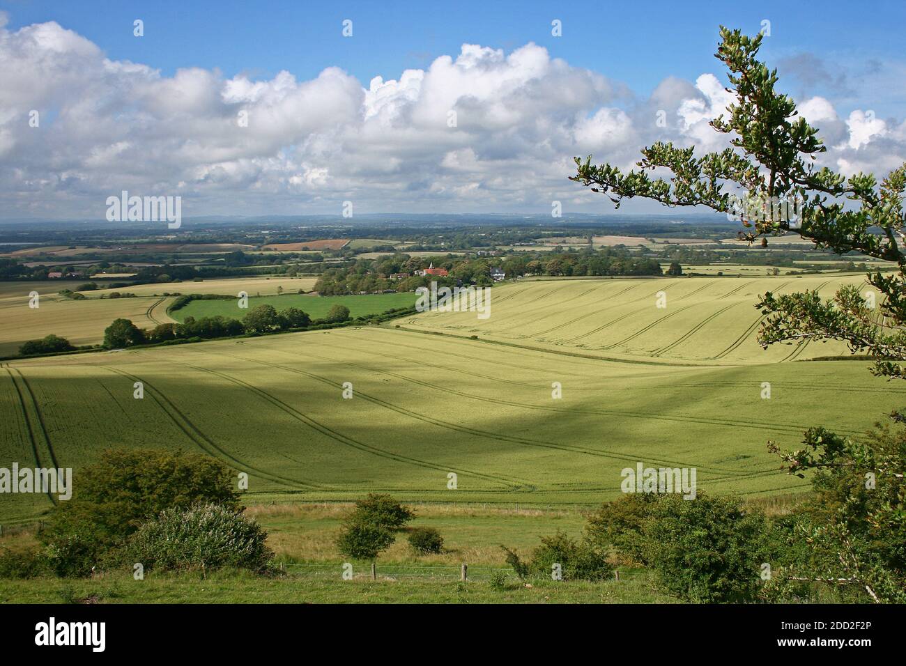 Une vue sur les champs vallonnés vus des collines des South Downs à East Sussex, en Angleterre, lors d'une belle journée d'été. Idéal pour les promenades à la campagne. Banque D'Images