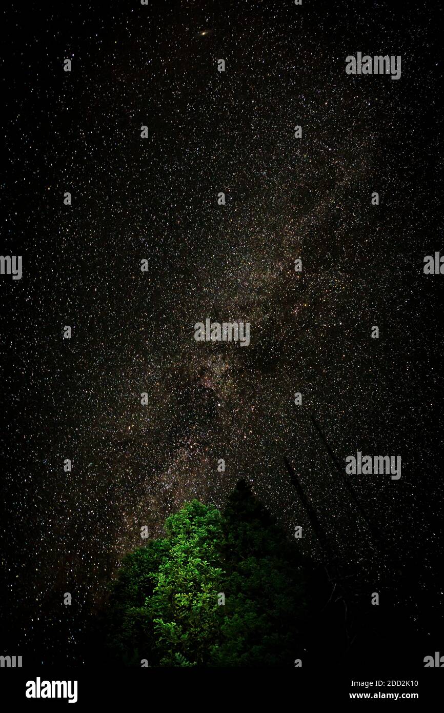 WA18463-00...WASHINGTON - le Milkyway au-dessus de la campagne à Deep Lake situé sur le PCT dans la région sauvage des lacs alpins. Banque D'Images WA18463-00...WASHINGTON - le Milkyway au-dessus de la campagne à Deep Lake situé sur le PCT dans la région sauvage des lacs alpins. Banque D'Images