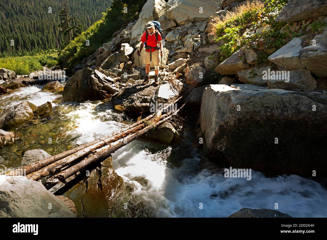 WA18469-00...WASHINGTON - randonneur considérant le ruisseau et le pont instable traversant le Pacific Crest Trail dans la région sauvage des lacs alpins. Banque D'Images