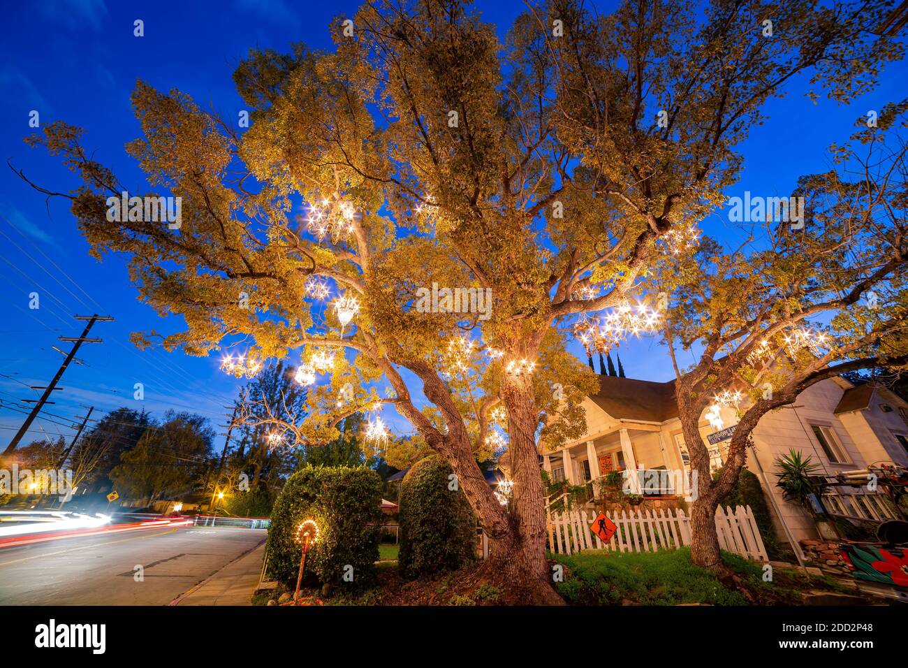 Vue de nuit sur le magnifique arbre de lustre de Los Angeles, Californie Banque D'Images