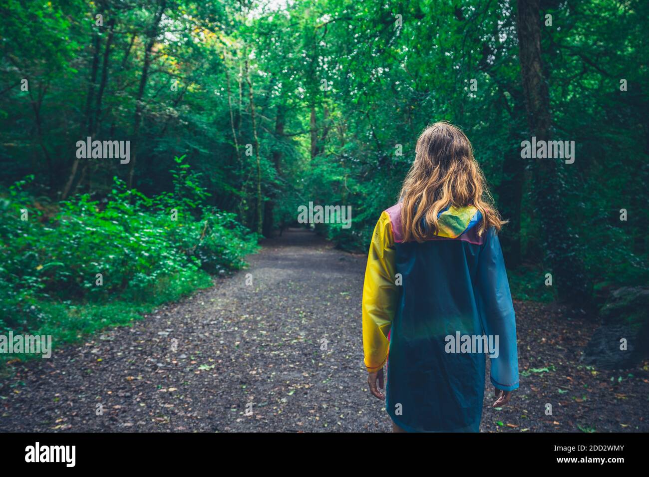 Une jeune femme portant un imperméable marche dans le forêt en automne Banque D'Images