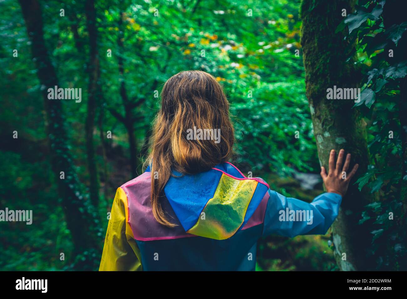 Une jeune femme portant un imperméable touche les arbres dans une forêt Banque D'Images