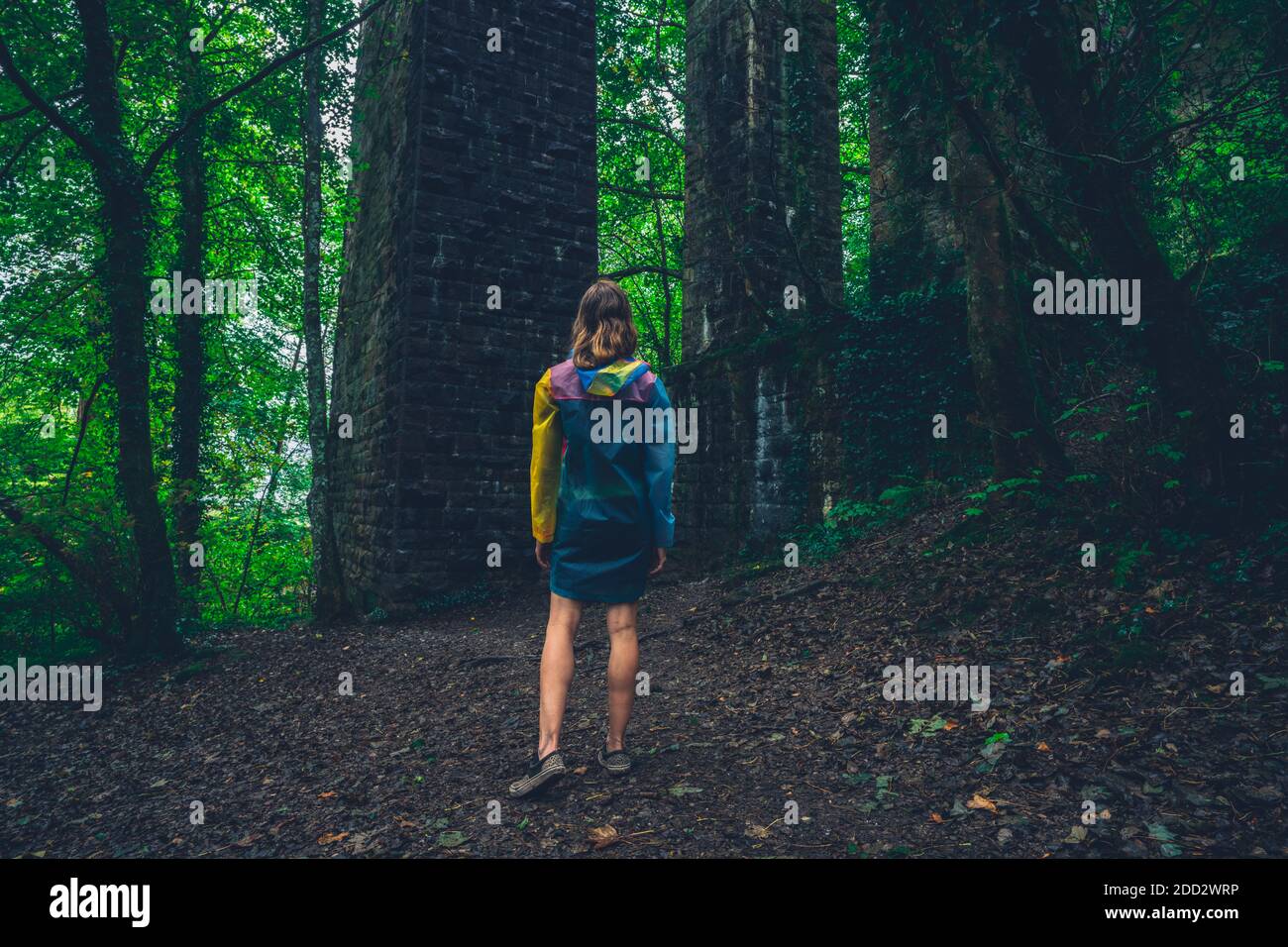 Une jeune femme portant un imperméable marche dans le forêt en automne Banque D'Images