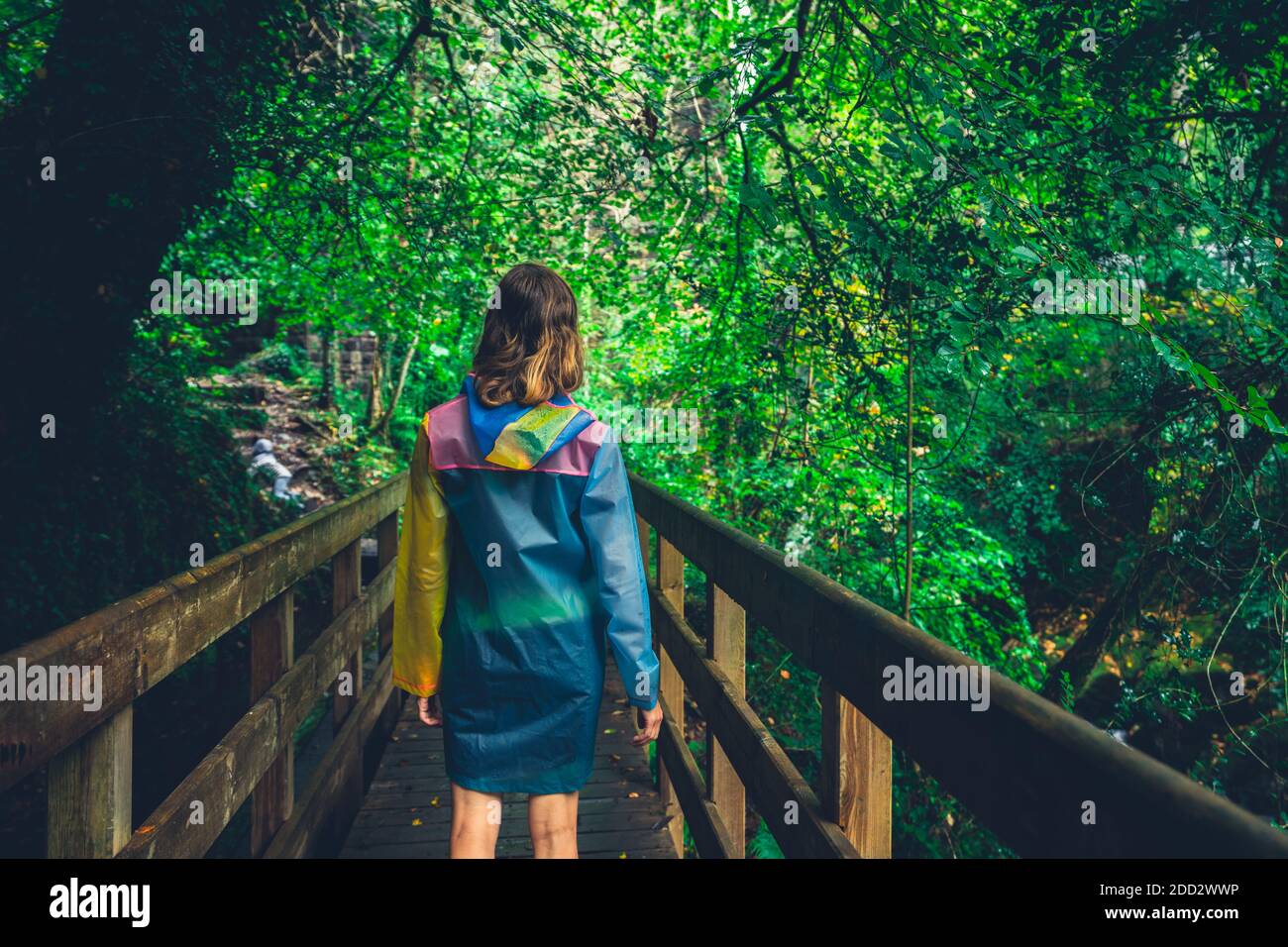 Une jeune femme est debout sur un pont dans un forêt Banque D'Images