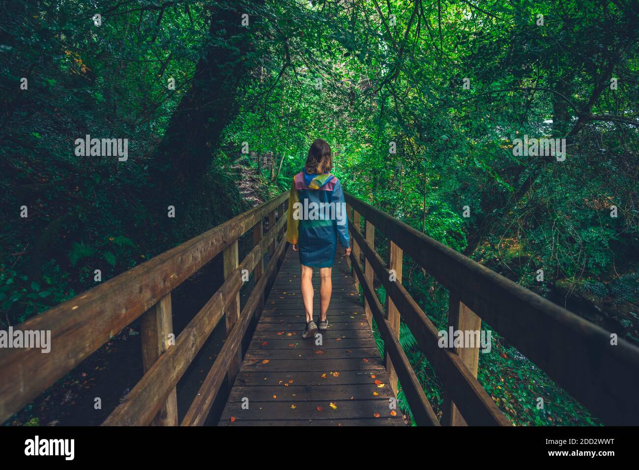 Une jeune femme est debout sur un pont dans un forêt Banque D'Images