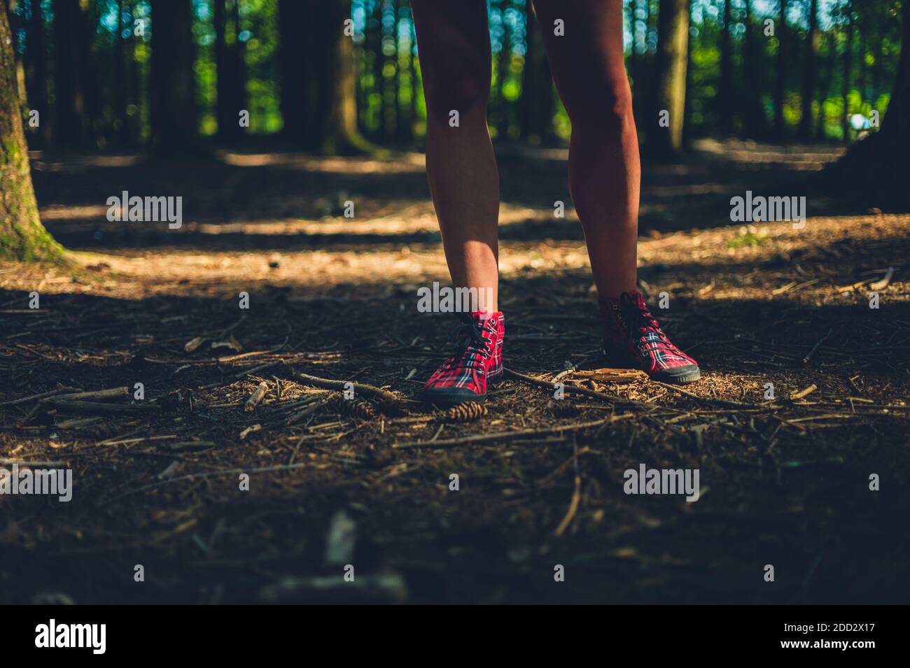 Les pieds et les jambes d'une jeune femme debout une forêt Banque D'Images