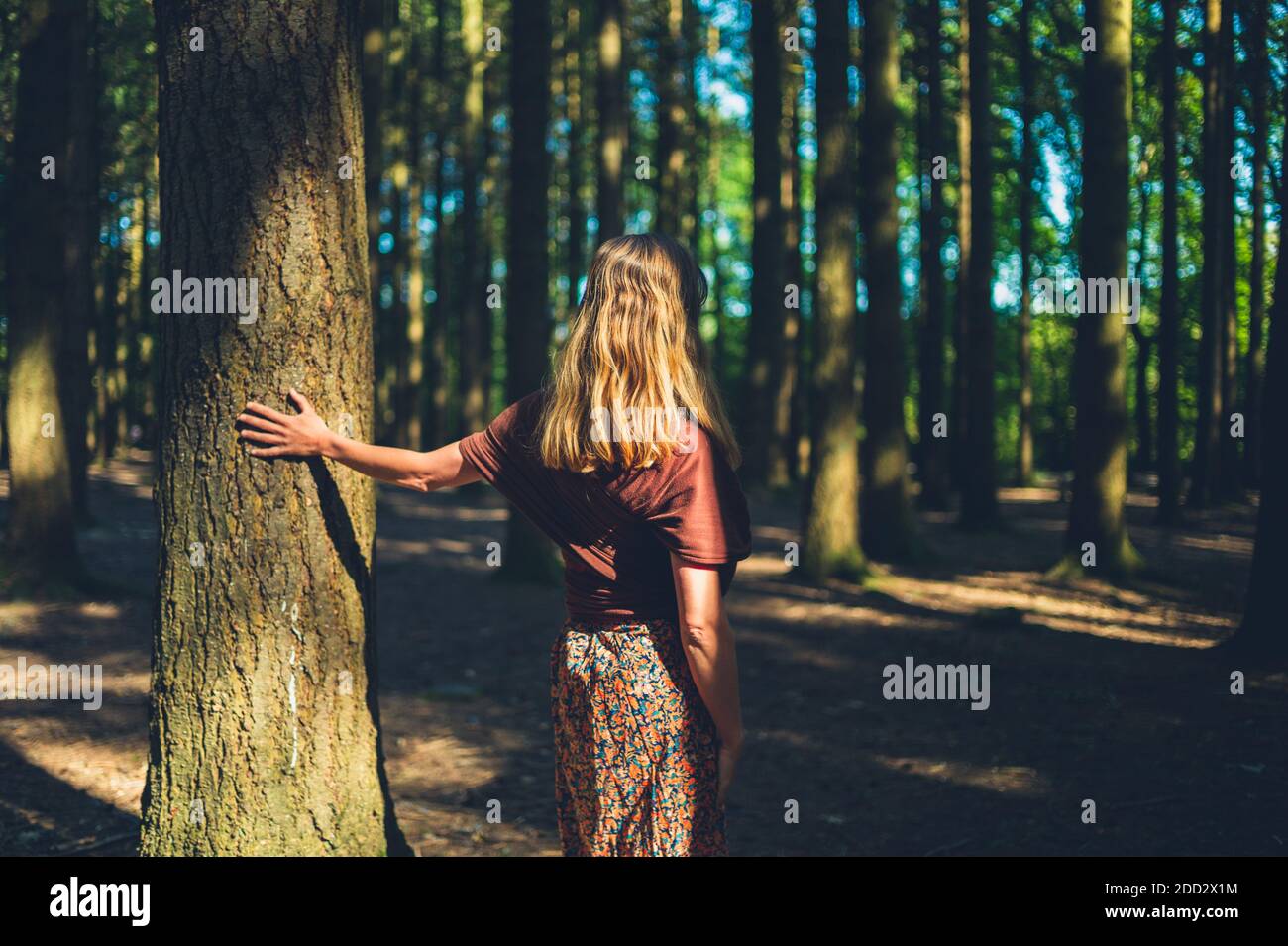 Une jeune femme touche un arbre dans la forêt par temps ensoleillé Banque D'Images