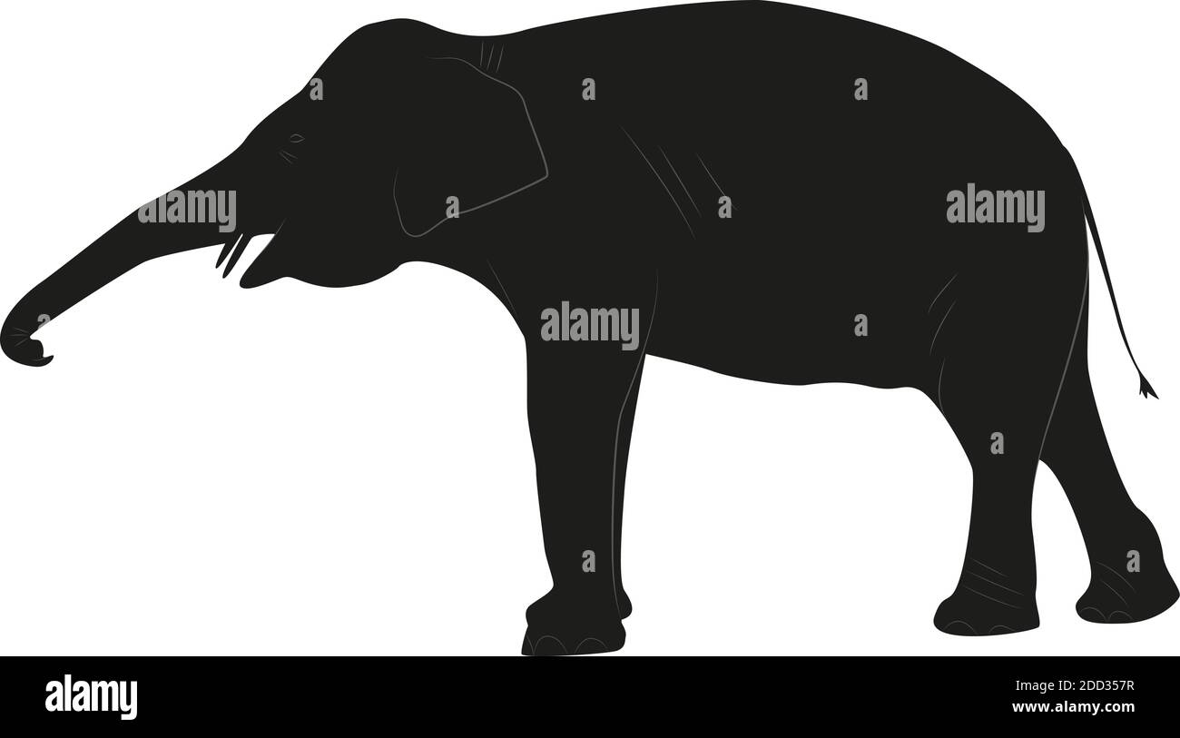 Silhouette noire d'un éléphant sur fond blanc, redimensionnable. Illustration de Vecteur