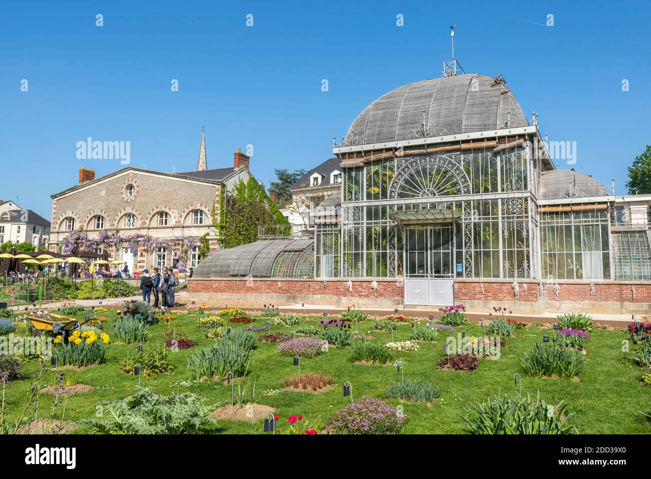 Nantes (nord-ouest de la France): Jardin botanique "jardin des plantes" dans le quartier de Saint-Donatien/gare, récompensé par le "jardin rechapable" Banque D'Images