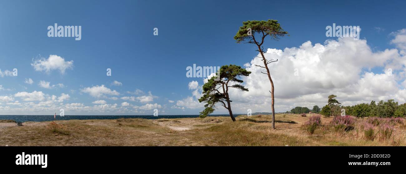 Géographie / Voyage, Suède, Skane, Ystad, côte de la mer Baltique à l'ouest de Ystad, Skane, Sud de Suède, pa, droits-supplémentaires-autorisation-Info-non-disponible Banque D'Images