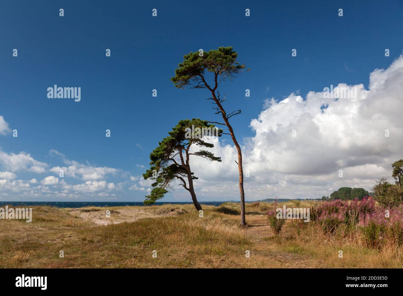 Géographie / voyage, Suède, Skane, Ystad, côte de la mer Baltique à l'ouest d'Ystad, Skane, Sud de la Suède, droits-supplémentaires-autorisations-Info-non-disponible Banque D'Images