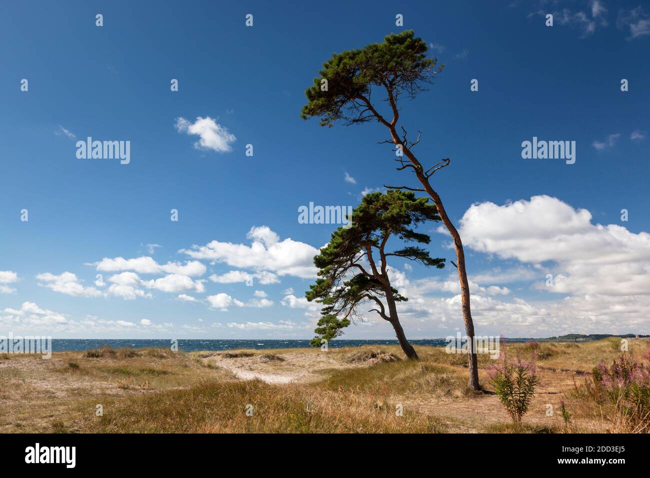 Géographie / voyage, Suède, Skane, Ystad, côte de la mer Baltique à l'ouest d'Ystad, Skane, Sud de la Suède, droits-supplémentaires-autorisations-Info-non-disponible Banque D'Images