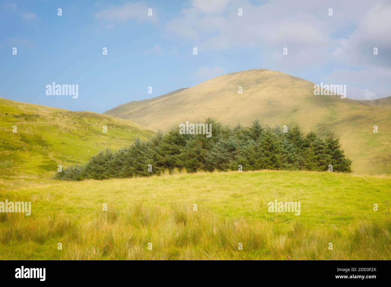 Campagne du Connemara, comté de Galway, République d'Irlande. Eire. Banque D'Images