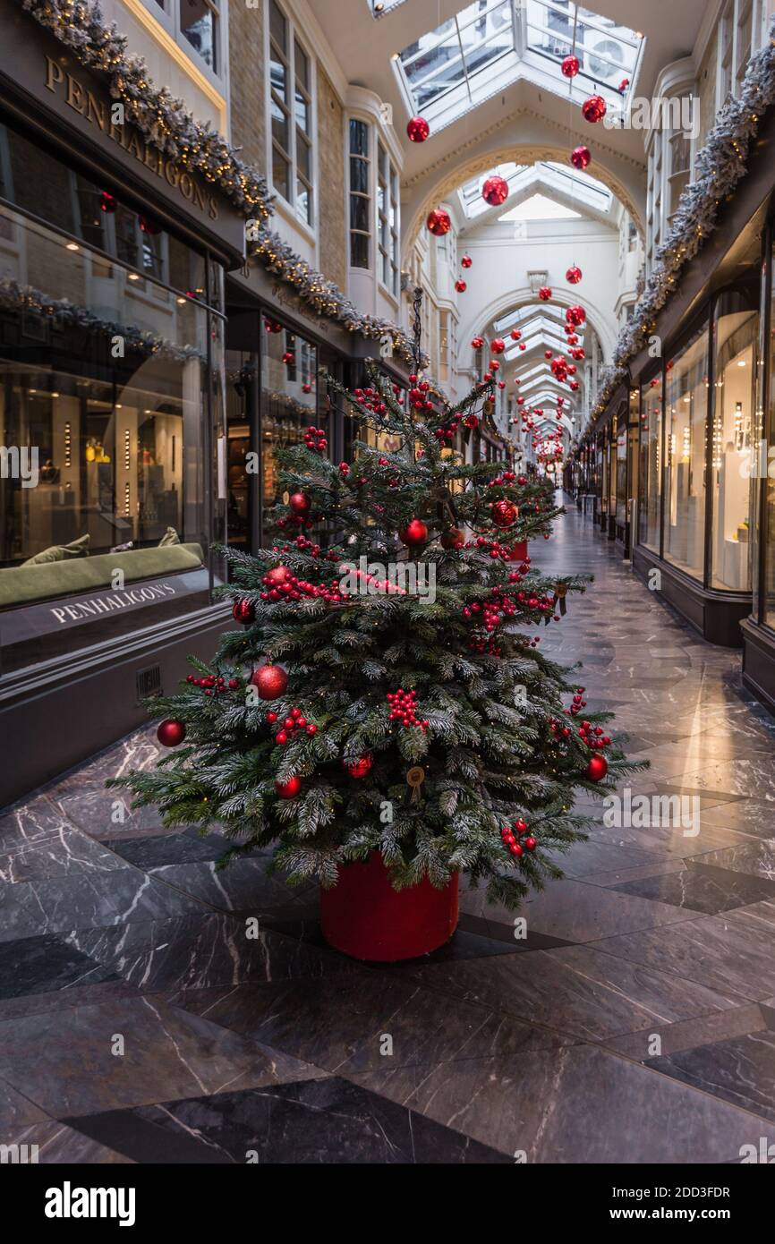 Arbres de Noël à Burlington Arcade à Mayfair, Londres Banque D'Images