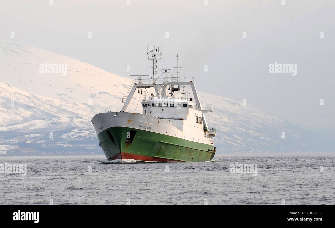 Pêche hauturière en mer de Norvège à bord du chalutier "Grande Hermine" en 2011. La Grande Hermine, chalutier d'usine exploité par la Compagnie des Pech Banque D'Images