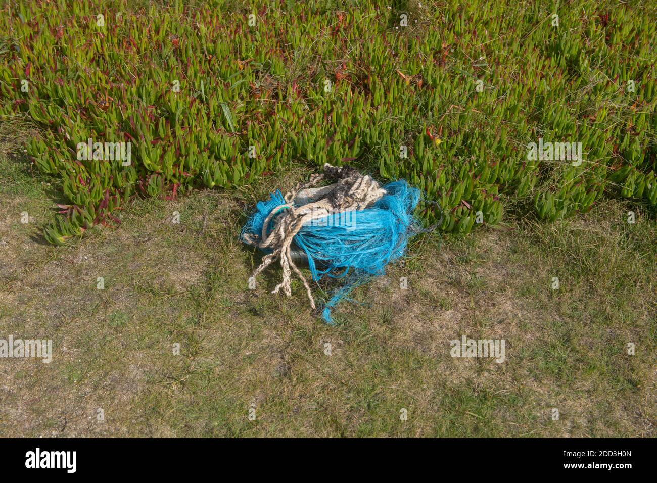 Pile de pollution marine de corde, filet de pêche en nylon bleu et une bouteille de vin de verre ramassés à une plage sur l'île de Bryher dans les îles de Scilly Banque D'Images