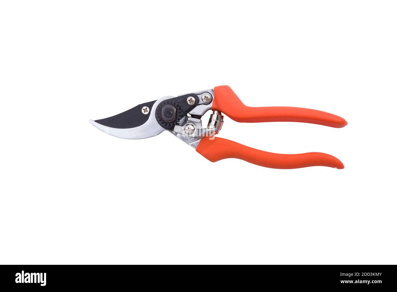 ciseaux de jardinage rouges isolés sur un fond blanc Banque D'Images